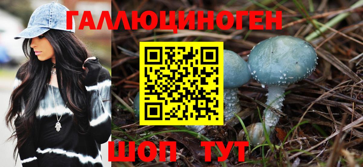 Галлюциногенные грибы Psilocybe  Вход с VPN  закладка  Уссурийск 